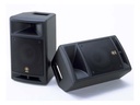 ENCEINTE AMPLIFIEE 100W