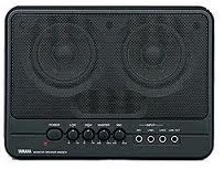 ENCEINTE AMPLIFIEE 20W